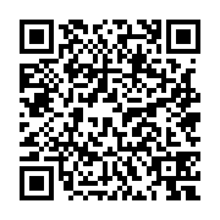QR code for LHE1381