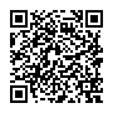 QR code for LJY9993