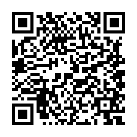 QR code for LKV8411