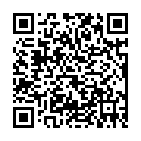 QR code for LPC9871