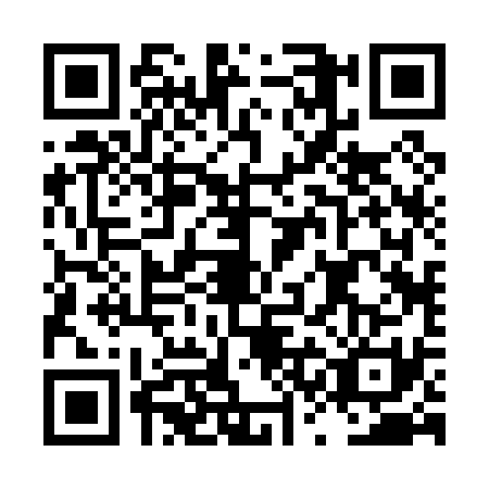 QR code for LSB0313