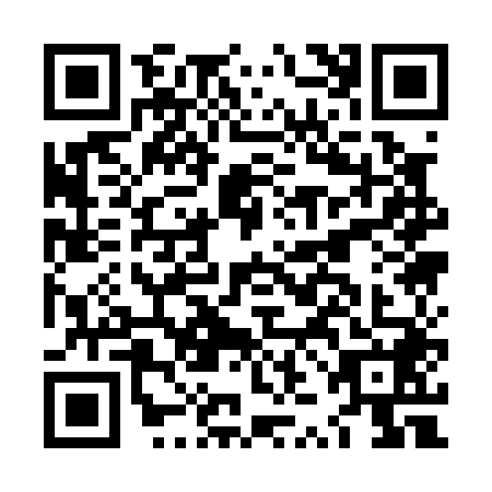 QR code for LZA0489