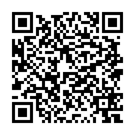 QR code for LZI4698