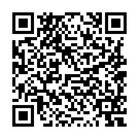 QR code for LZO9961
