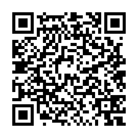 QR code for LZR1393