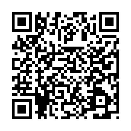 QR code for LZU2979
