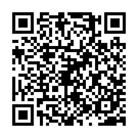 QR code for LZV2878
