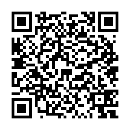 QR code for LZZ2399