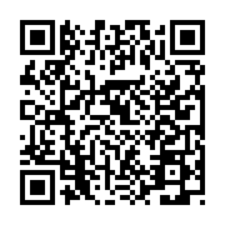 QR code for LZZ8487