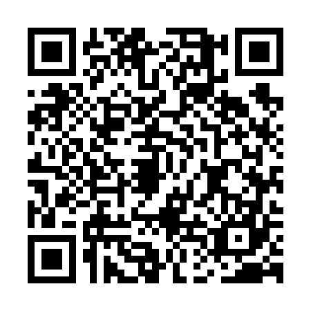 QR code for MDM6676