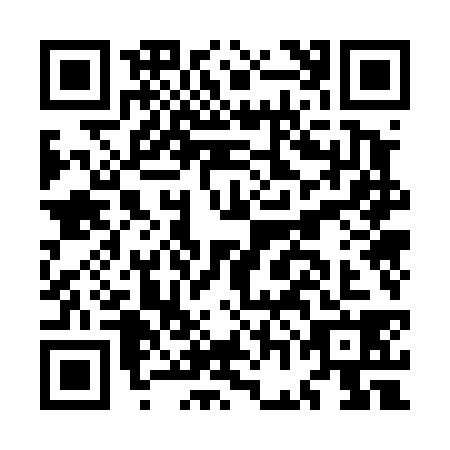 QR code for MGO4385