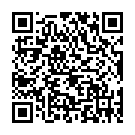 QR code for MGX4771