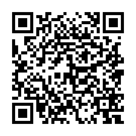 QR code for MSX1691