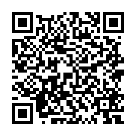 QR code for MTI5493