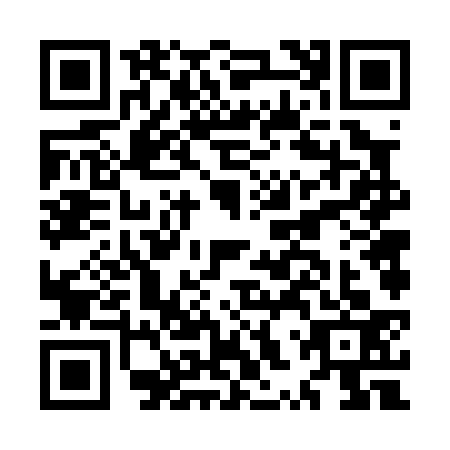 QR code for MXV0333