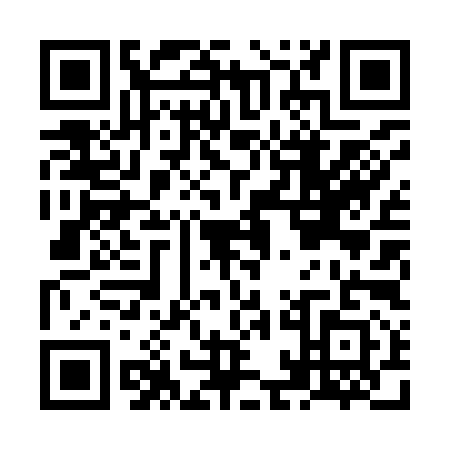 QR code for NAL9917