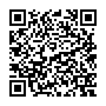 QR code for NEC1333