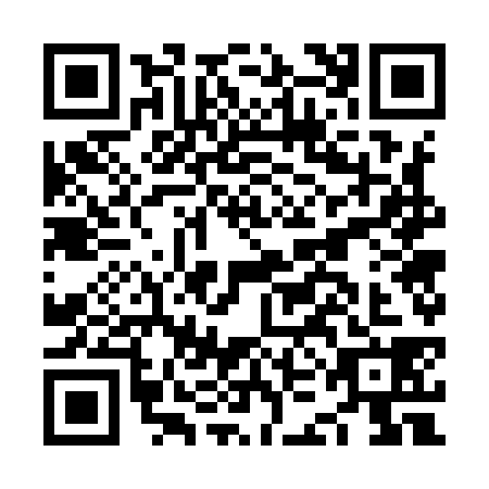 QR code for NKG9381