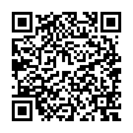 QR code for NNZ6991