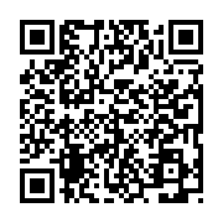 QR code for NSI1381