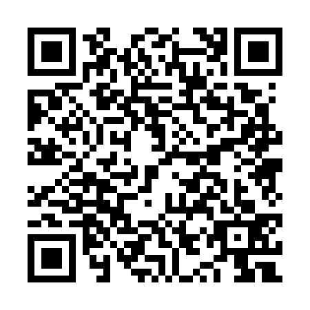 QR code for NYP7333