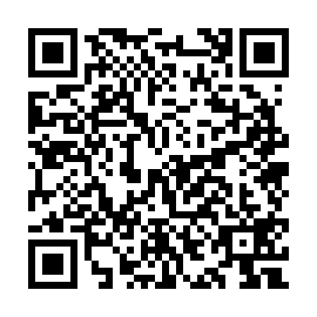 QR code for OIO2198