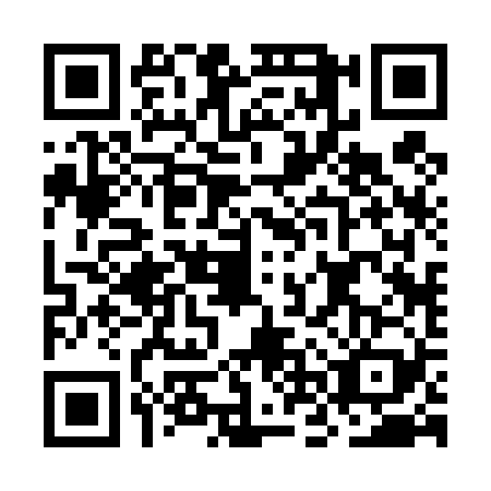 QR code for ONR4290