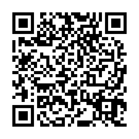 QR code for PAP9007