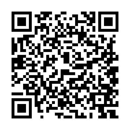 QR code for PAV9431