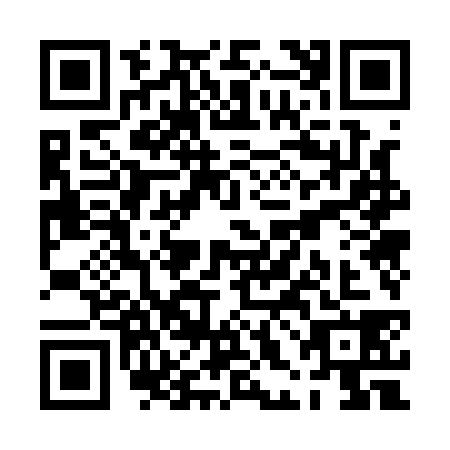 QR code for PHO1385