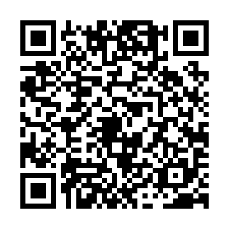 QR code for PID2956