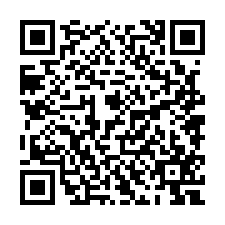 QR code for PIN1173