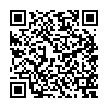 QR code for PIO2528