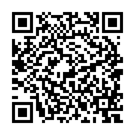 QR code for PMM2856