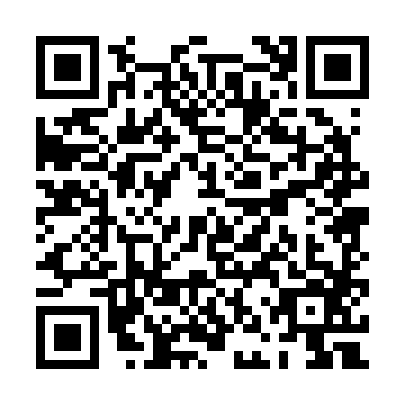 QR code for PNP2868