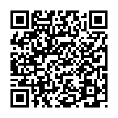 QR code for PPP6598