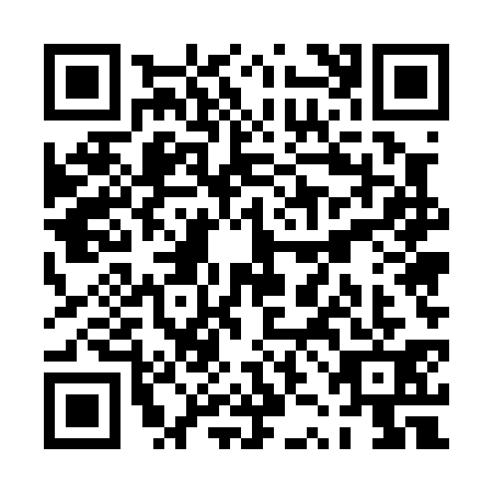 QR code for PZE0311