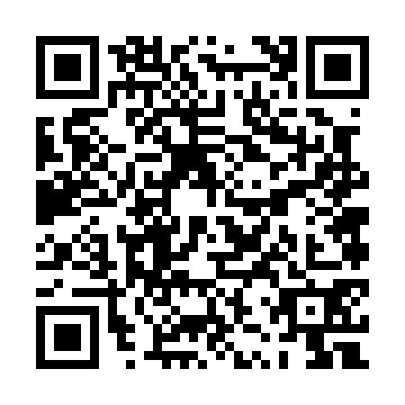 QR code for PZV0704