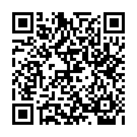 QR code for PZV2965