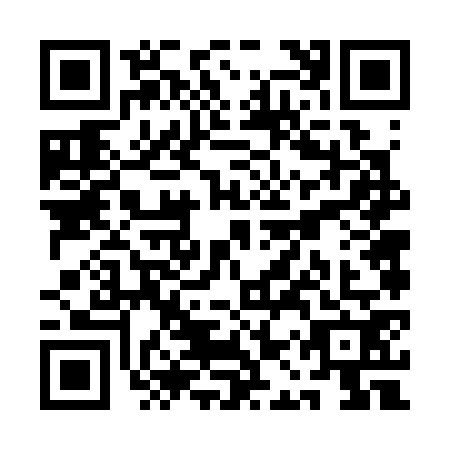 QR code for QAV3729
