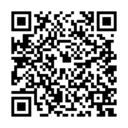QR code for QAW0228