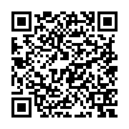 QR code for QFO9738