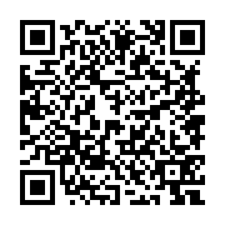 QR code for QIN8738