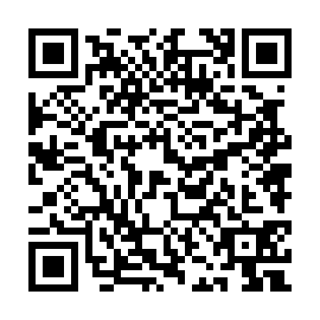 QR code for QJN0308