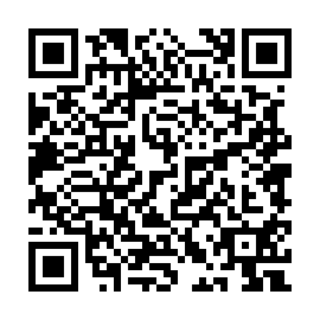 QR code for QLT5101
