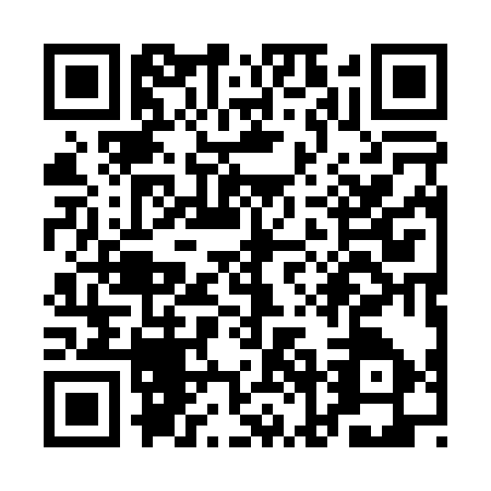 QR code for QNA0379
