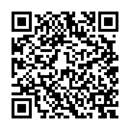 QR code for QOG0163