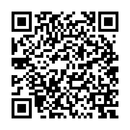 QR code for QSR2619