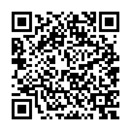 QR code for QYN3729