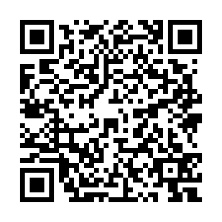 QR code for QYY7333